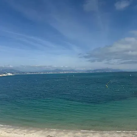 La Petite Grenille Daire Antibes